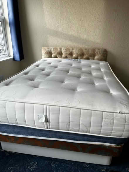 Photo of free Bed , and 3 mattresses (Sk14JT) #1