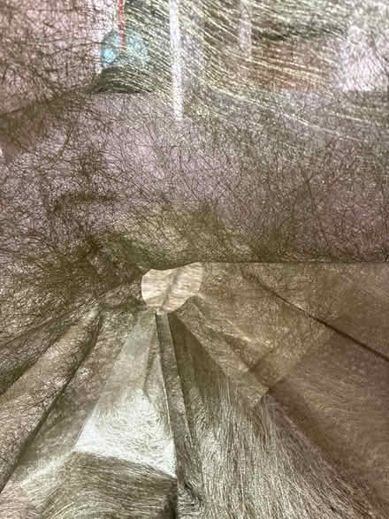 Photo of free Fancy paper/cloth (Los Altos) #3