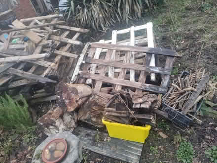 Photo of free Wood (LE67 Whitwick) #1