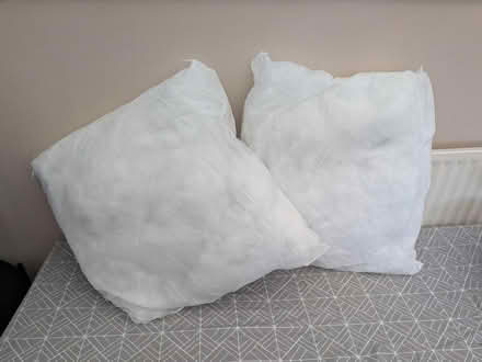 Photo of free Two Cushion Inners 60 x 60cm (CT15) #1