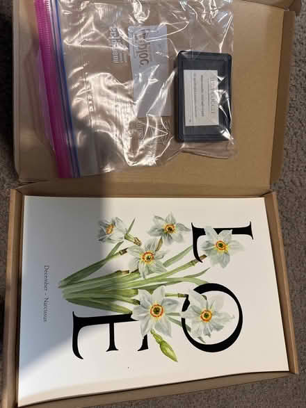 Photo of free December Birth Flower Footprint Kit (Countryside) #2