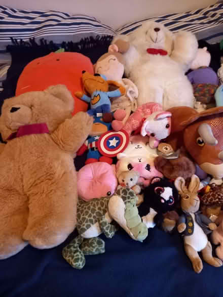 Photo of free soft toys (Southwick BN42) #3