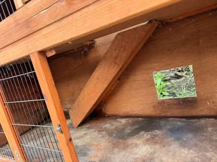 Photo of free Large Rabbit Hutch (Carshalton SM1) #4