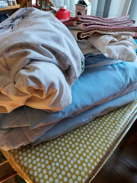 Photo of free Single bedding (WR14 Malvern Link) #1