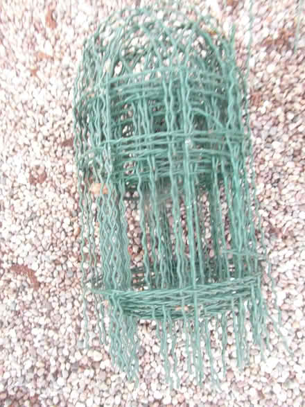 Photo of free 3 rolls of 16” high plastic coated WIRE NET EDGING (Waverton CH3) #2