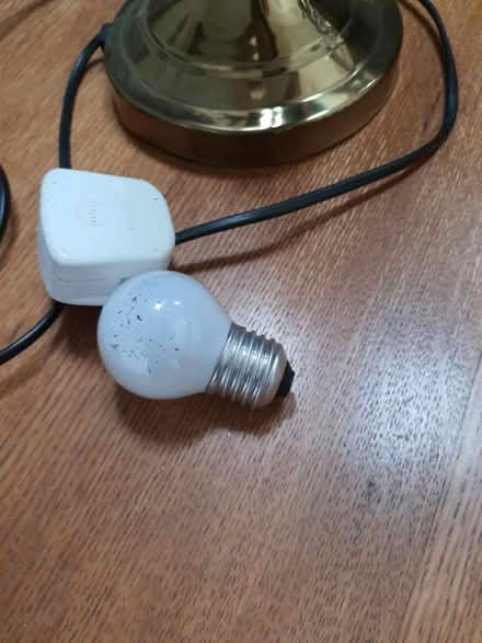 Photo of free Adjustable table lamp (Stroud central) #4
