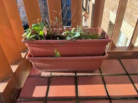 Photo of free Two planters (SE1) #1