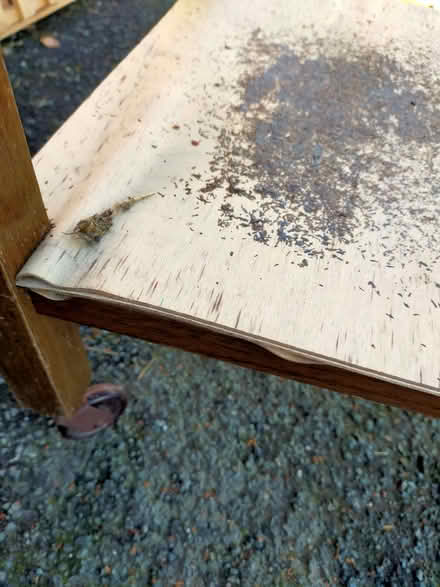 Photo of free Tea trolley for refurbishment? (Gobowen SY11) #3