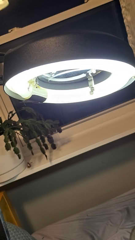 Photo of free Luxo magnifying lamp w desk clamp (Forest Glen) #4