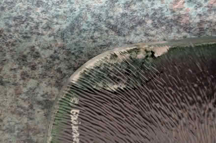 Photo of free Guinness glass worktop saver (TR1) #2