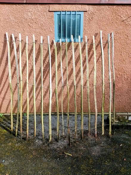 Photo of free chestnut palings (Nailsea BS21) #1