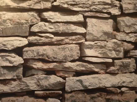 Photo of free Wallpaper (Herdings S14) #1