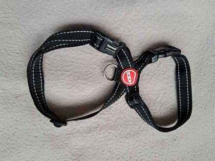 Photo of free Dogs harness (Elmstead Market CO7) #1
