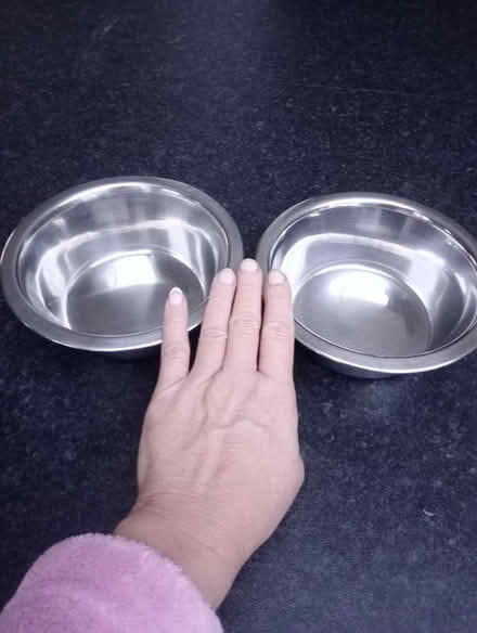 Photo of free Dog bowls (Maidstone ME15) #1