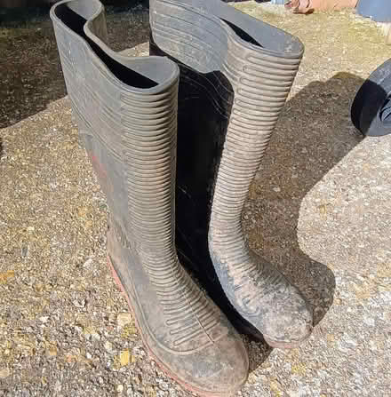 Photo of free Wellies with steel toe cap (West Bognor PO21) #1
