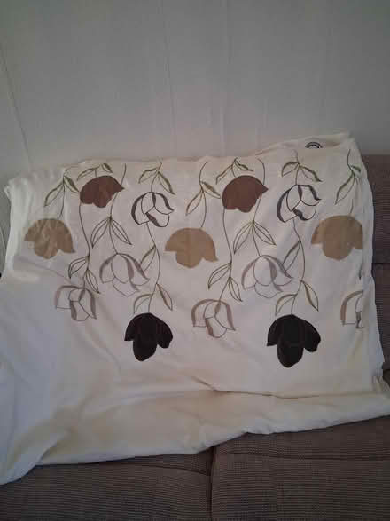 Photo of free Curtains (mansfield woodhouse NG19) #3