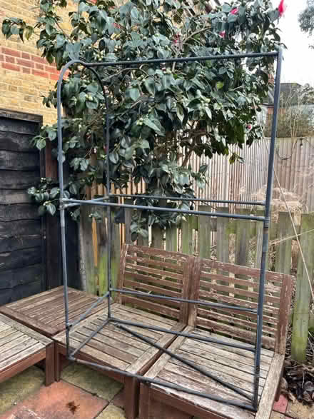 Photo of free Tomato support (Ladywell SE13) #1
