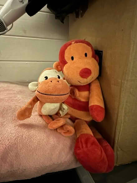 Photo of free Soft stuffed monkeys (Croydon CR0) #2