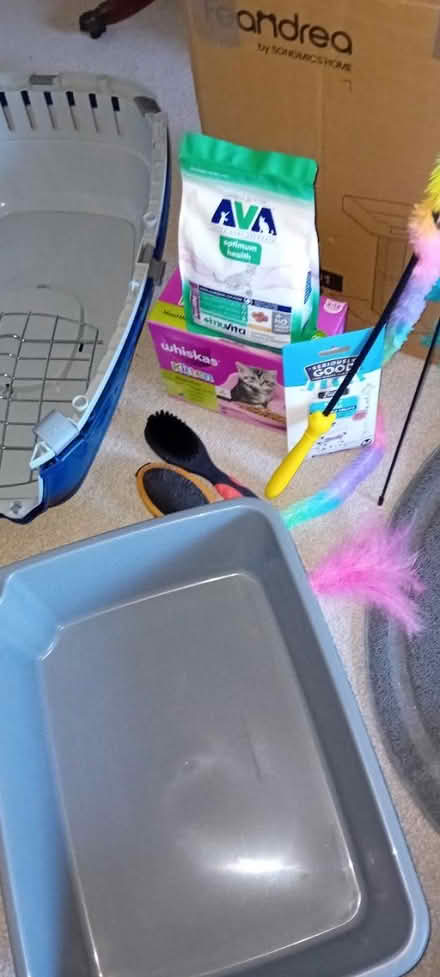 Photo of free Various cat/kitten items (Bognor Regis PO21) #4
