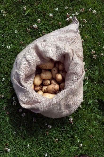 Photo of Hessian sack for storing potatoes and Veg (Finstock Heath OX7) #1