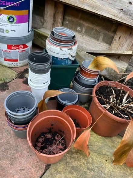 Photo of free Nursery pots (Ladywell SE13) #1