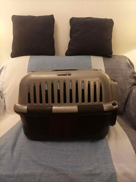 Photo of free Cat Carrier (Dublin 8) #4