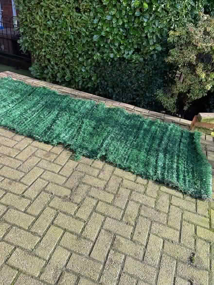 Photo of free Artificial Hedge Screening (Derby DE3) #2