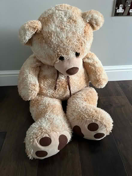 Photo of free Big teddy bear (Shippon OX14) #1