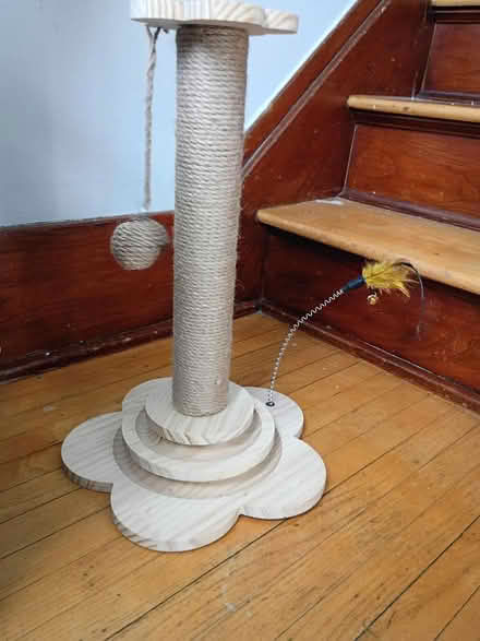 Photo of free Cat toy scratcher (St Clair Shores) #1