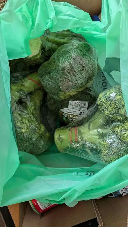 Photo of free 4 heads broccoli, bought yesterday (Castlepoint BH8) #1