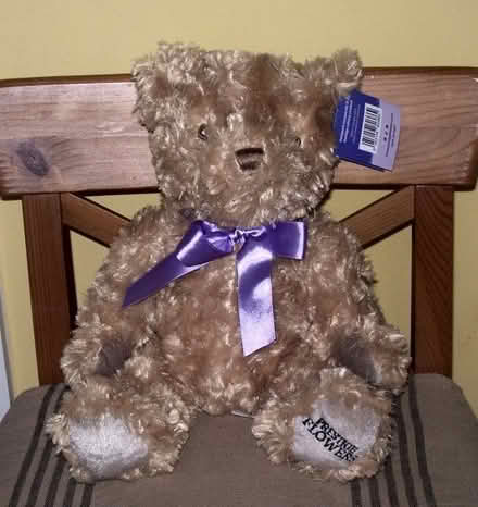 Photo of free Teddy Bear (OX14 Long Wittenham) #1