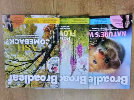 Photo of free 'Broadleaf' magazine (Fareham PO15) #1