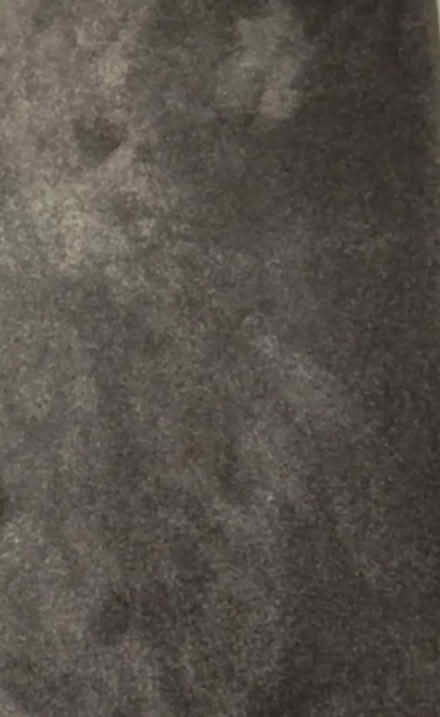 Photo of free Light grey carpet remnant (Putnoe MK41) #1