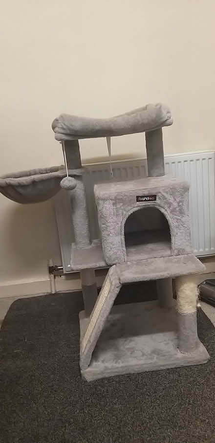 Photo of free Cat tree (Savile Park) #1