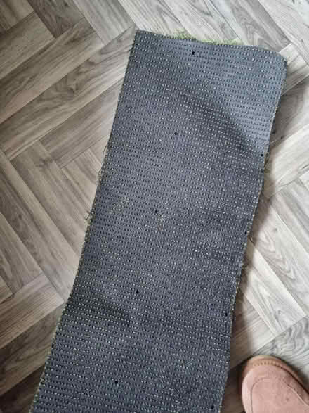 Photo of free Astro turf (SE20) #3