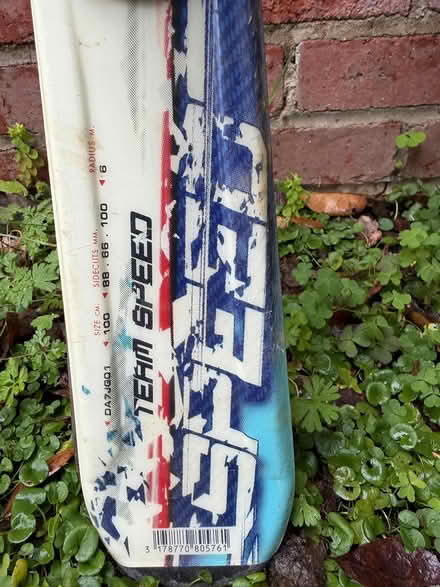 Photo of free Kids skis (Central San Rafael) #2