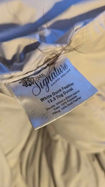 Photo of free 13.5tog feather double duvet (Menai Bridge LL59) #2