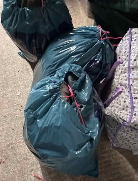 Photo of free 4 Bags of clothes Woman’s and Boys (Ladygrove OX11) #3