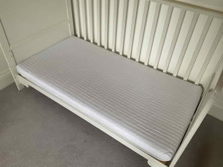 Photo of free Cot Bed and Mattress (North Shields Fish Quay NE29) #2