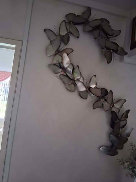 Photo of free Mirror and wall hanging (Wildridings RG12) #2