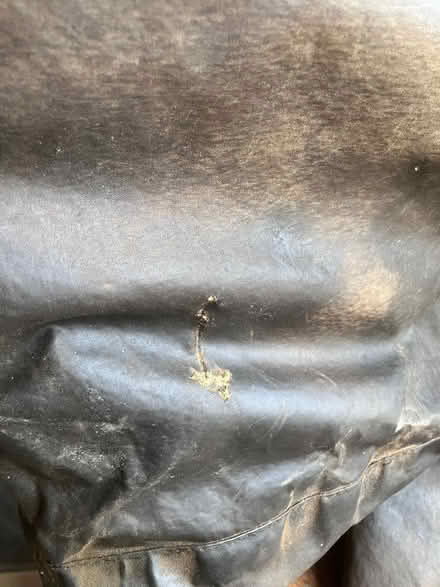 Photo of free Barbour jacket (Hinton Charterhouse) #4