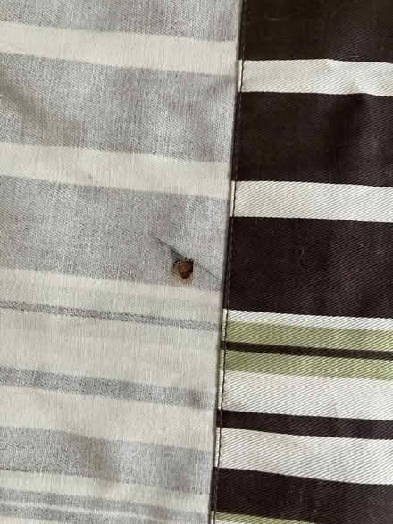 Photo of free Single curtain panel (South City) #2