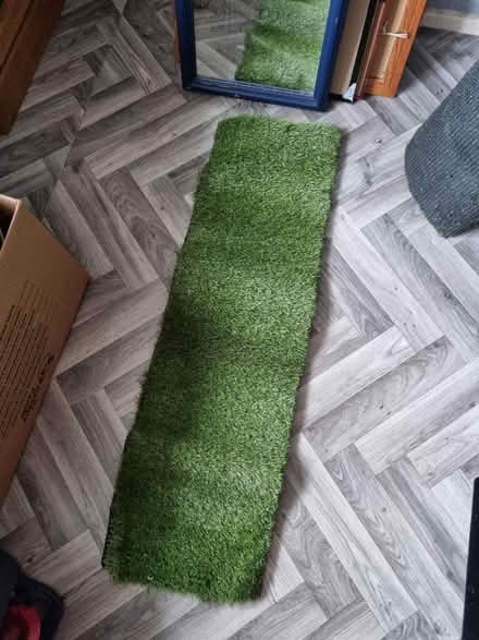 Photo of free Astro turf (SE20) #1
