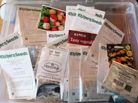Photo of free Mix of veg & flower seeds (Littleport CB6) #1