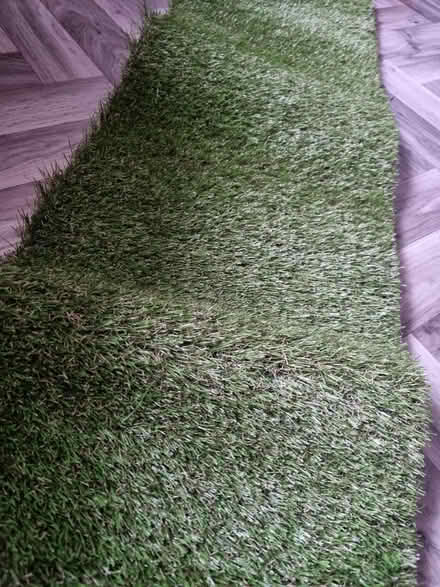 Photo of free Astro turf (SE20) #2