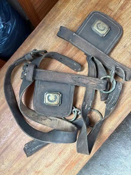 Photo of free Vintage horse blinkers (South Croydon) #1
