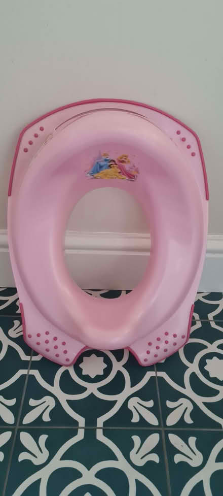 Photo of free Kids pink toilet surround (Belle Vue SY3) #1