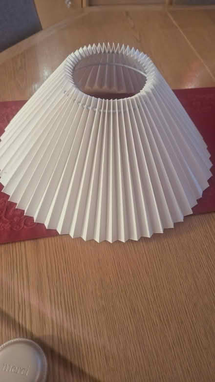 Photo of free Coolie Lampshade (RG24 Old Basing) #1
