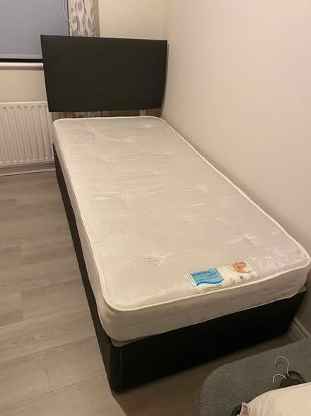 Photo of free Single bed and mattress (Glanmire) #1