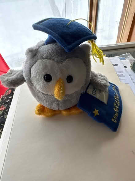 Photo of free Congrats owl w/gift card slot (Ossining) #1